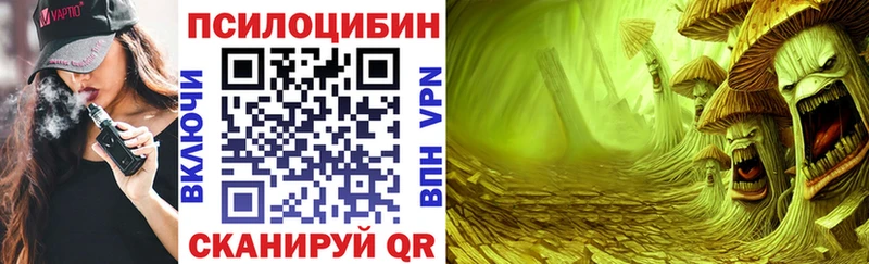 Галлюциногенные грибы Magic Shrooms  Купить  Муром 