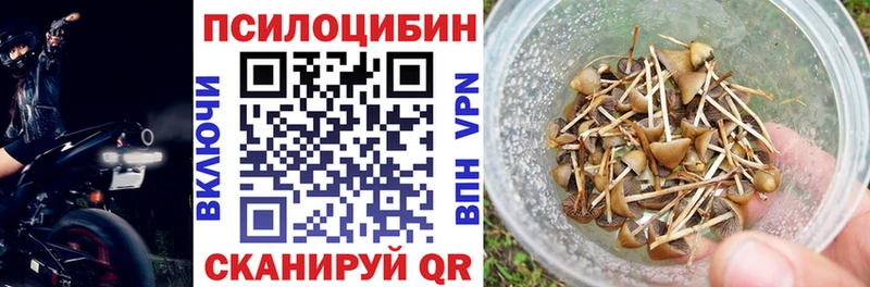 Псилоцибиновые грибы Psilocybe Муром