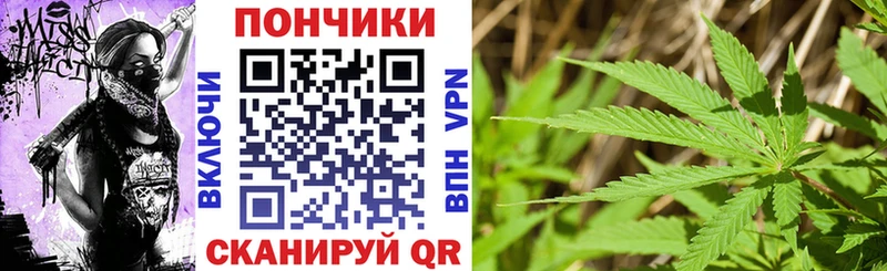 Купить  Муром  Конопля ГИДРОПОН 